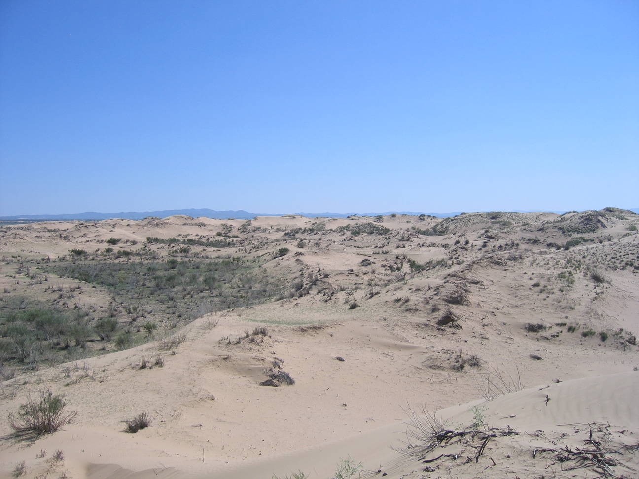 Sandd&uuml;ne Mogol els 12