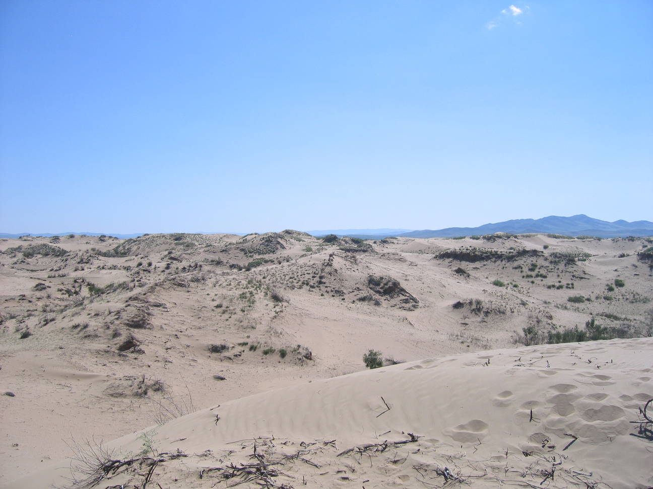 Sandd&uuml;ne Mogol els 13