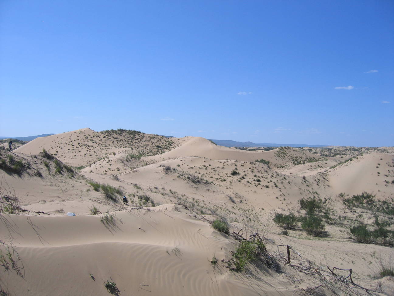 Sandd&uuml;ne Mogol els 16