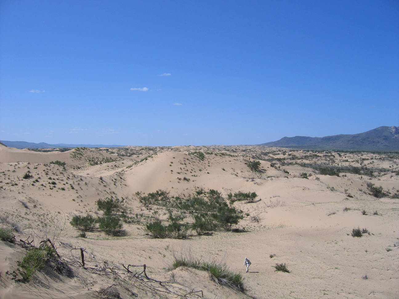 Sandd&uuml;ne Mogol els 17