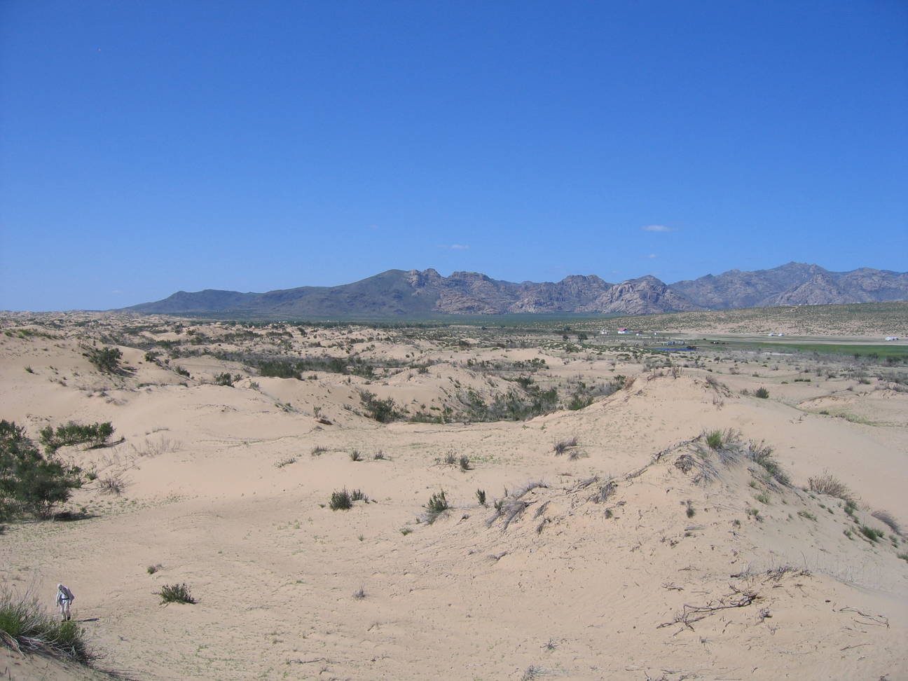 Sandd&uuml;ne Mogol els 18