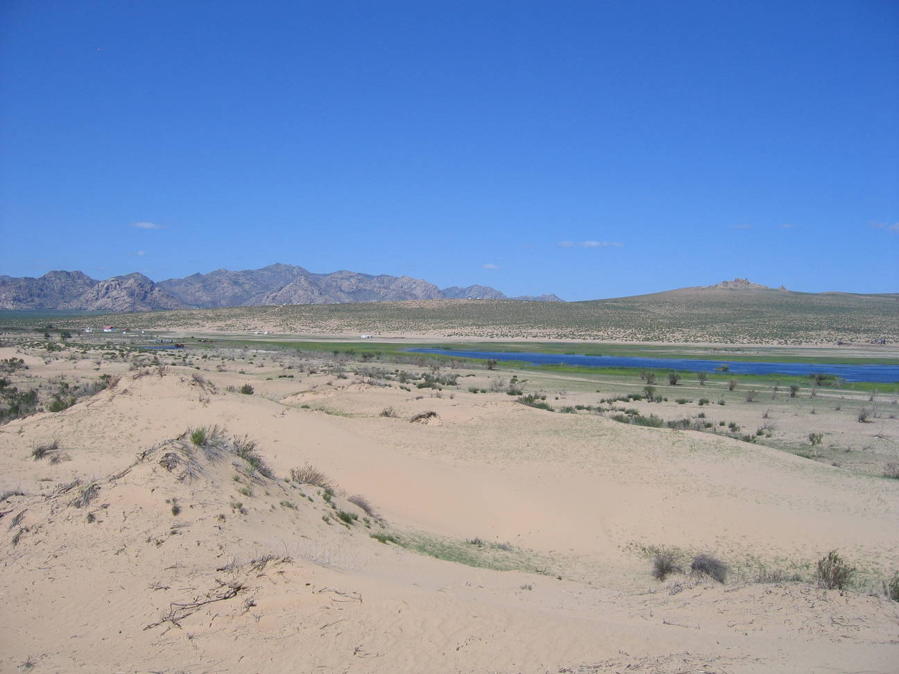 Sandd&uuml;ne Mogol els 19