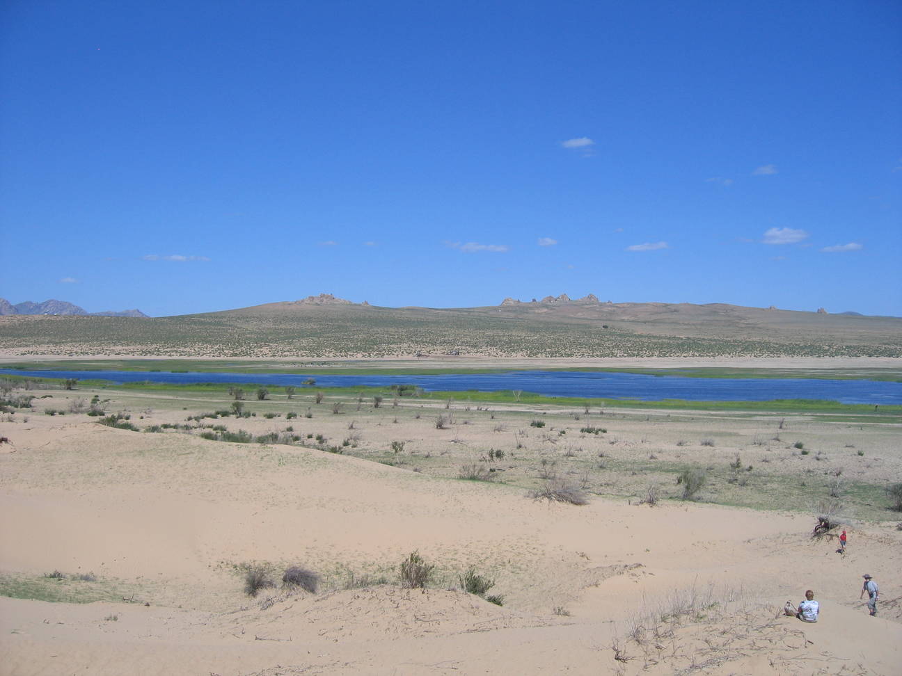 Sandd&uuml;ne Mogol els 20