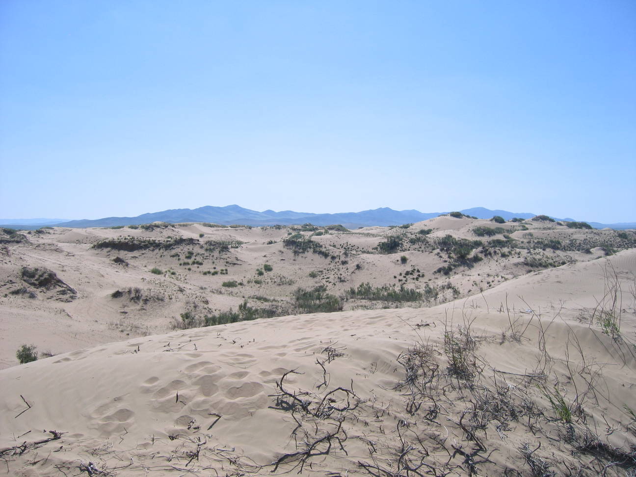 Sandd&uuml;ne Mogol els 22