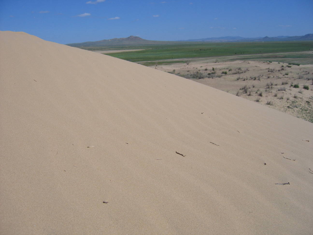 Sandd&uuml;ne Mogol els 23
