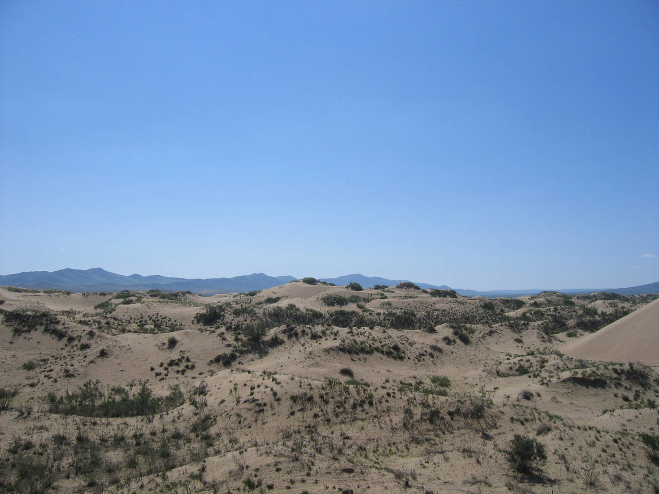 Sandd&uuml;ne Mogol els 27
