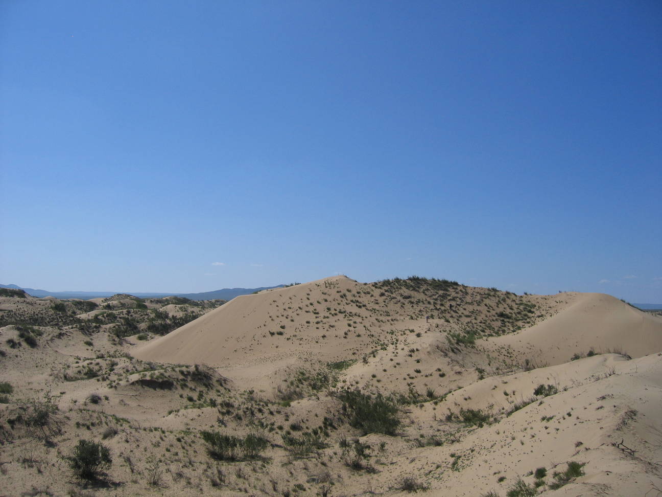 Sandd&uuml;ne Mogol els 28