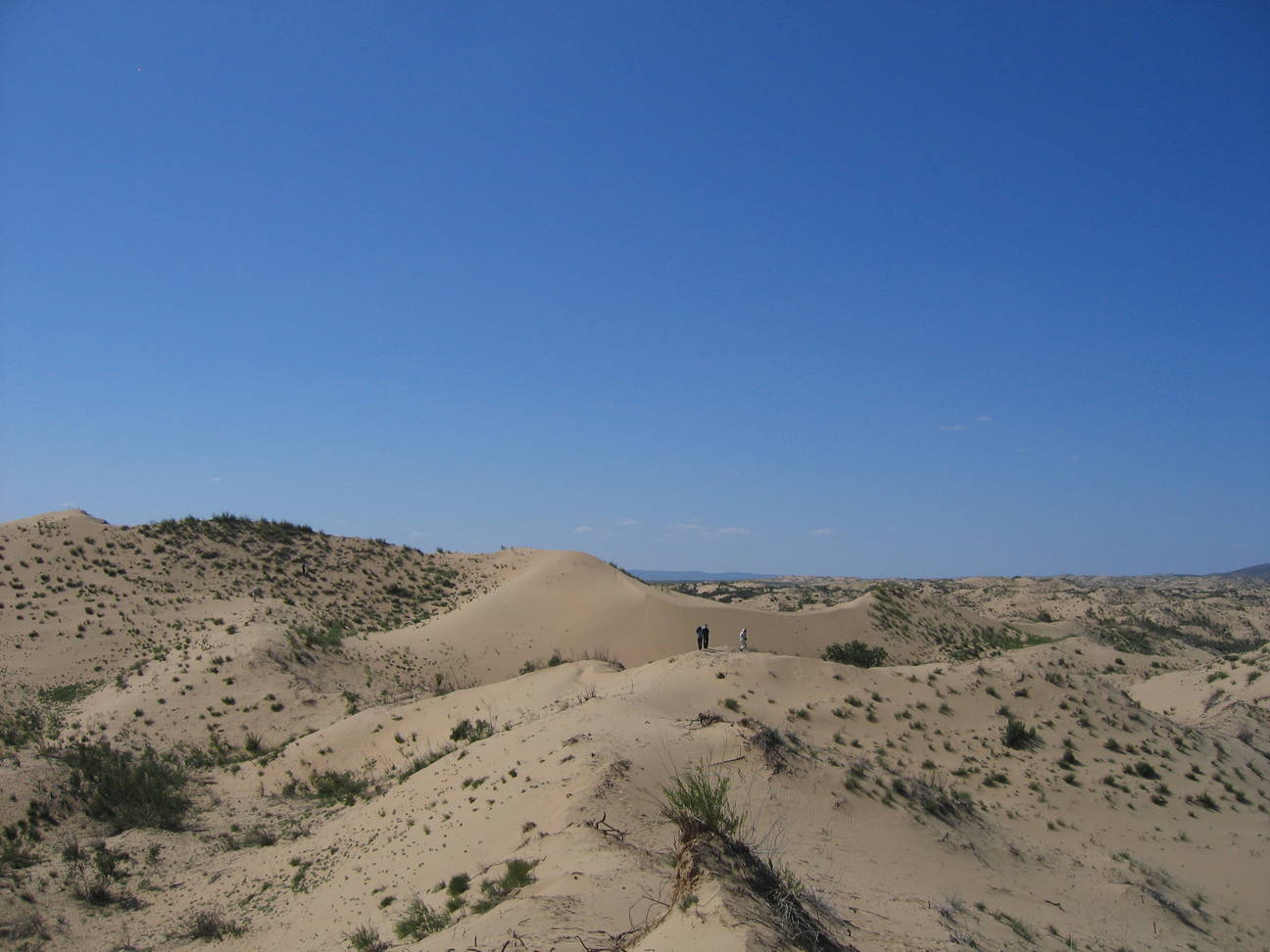 Sandd&uuml;ne Mogol els 29
