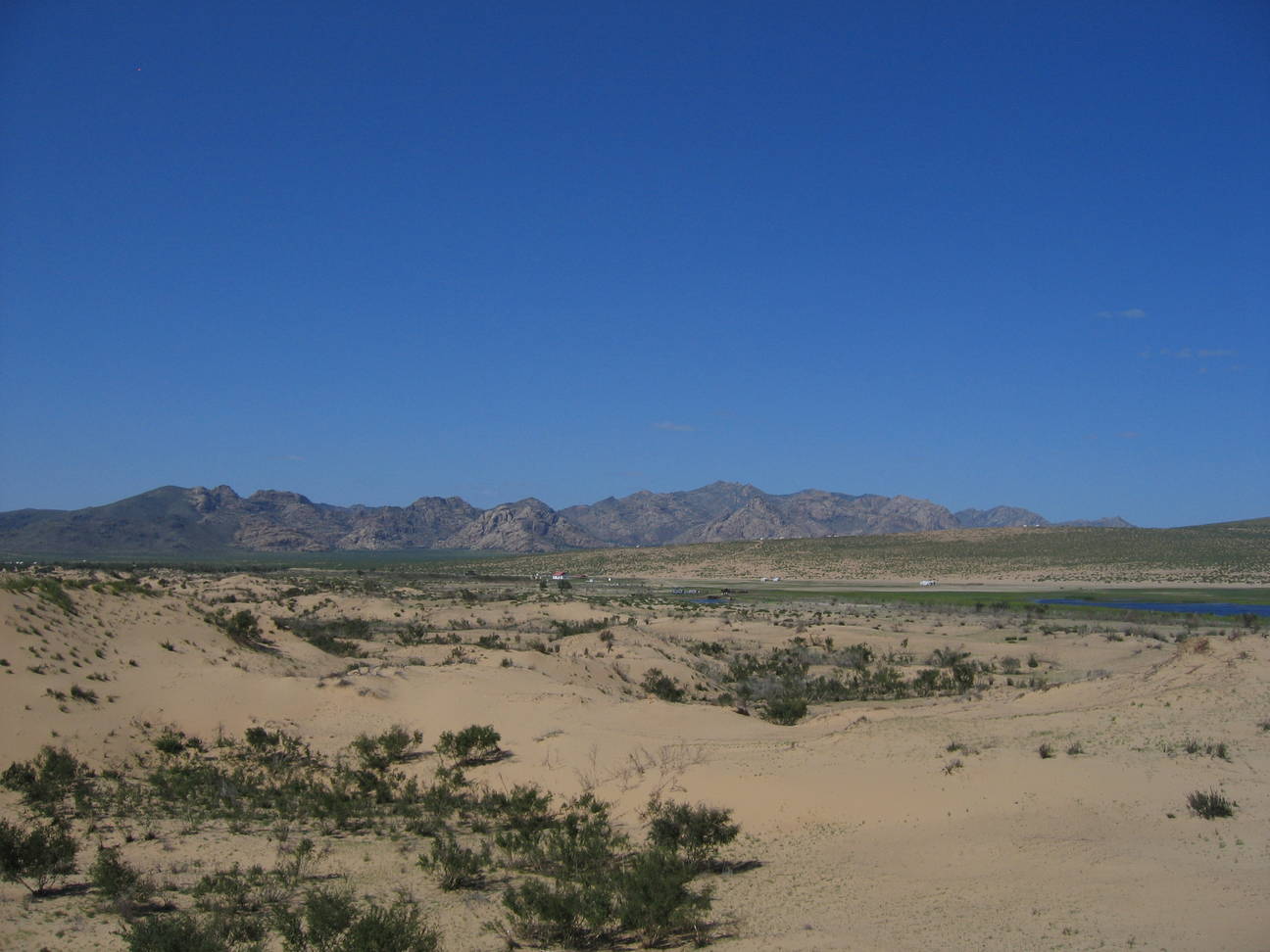 Sandd&uuml;ne Mogol els 31