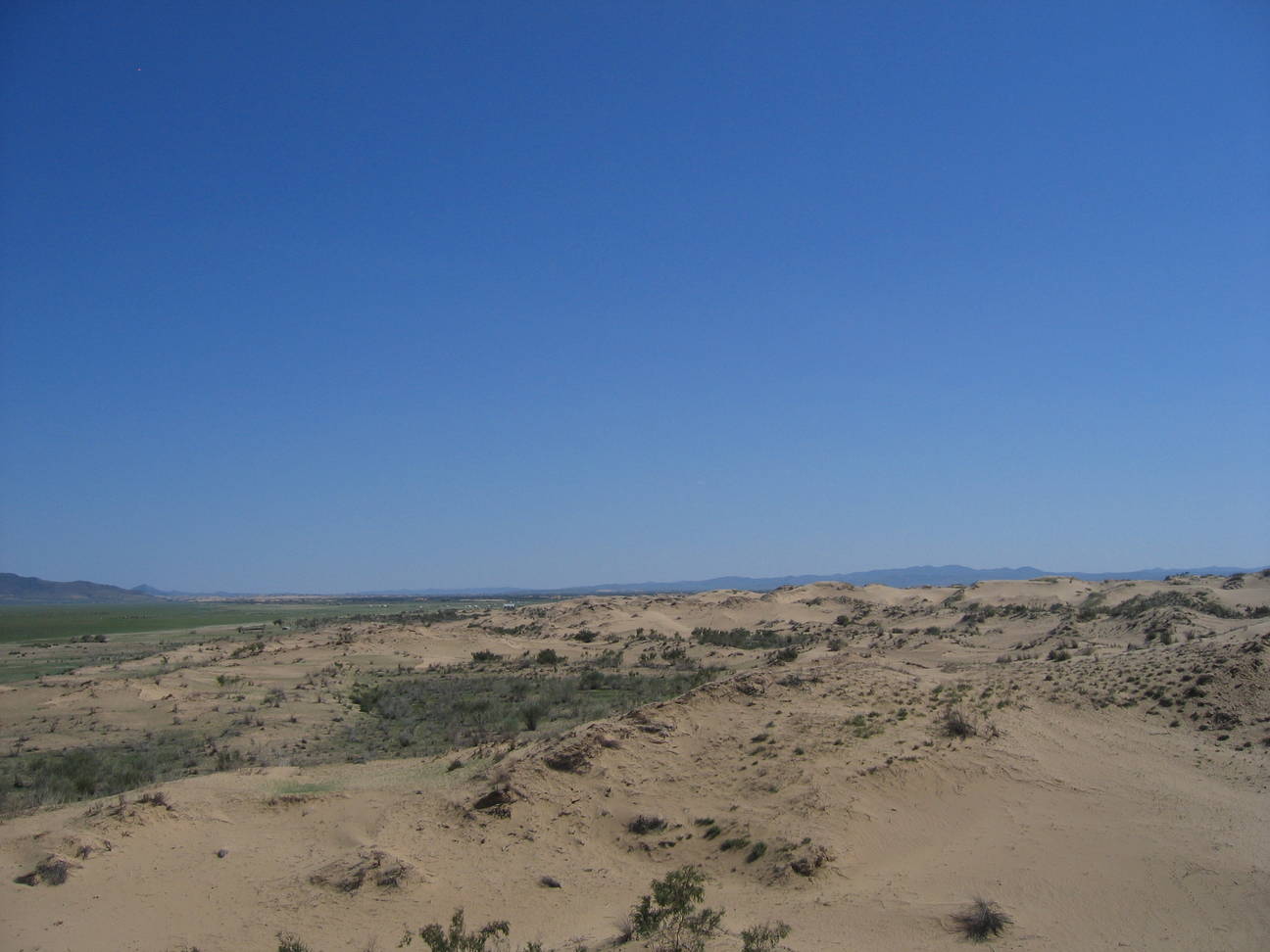 Sandd&uuml;ne Mogol els 36