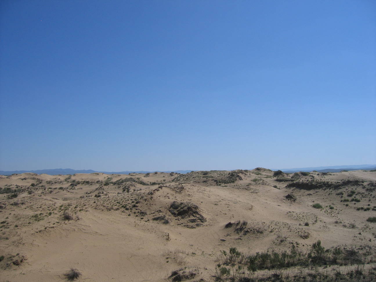 Sandd&uuml;ne Mogol els 37