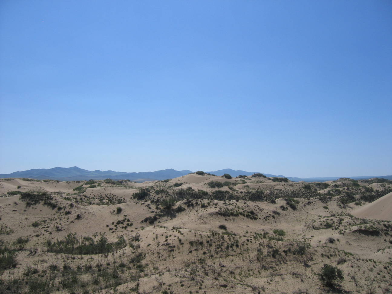 Sandd&uuml;ne Mogol els 39