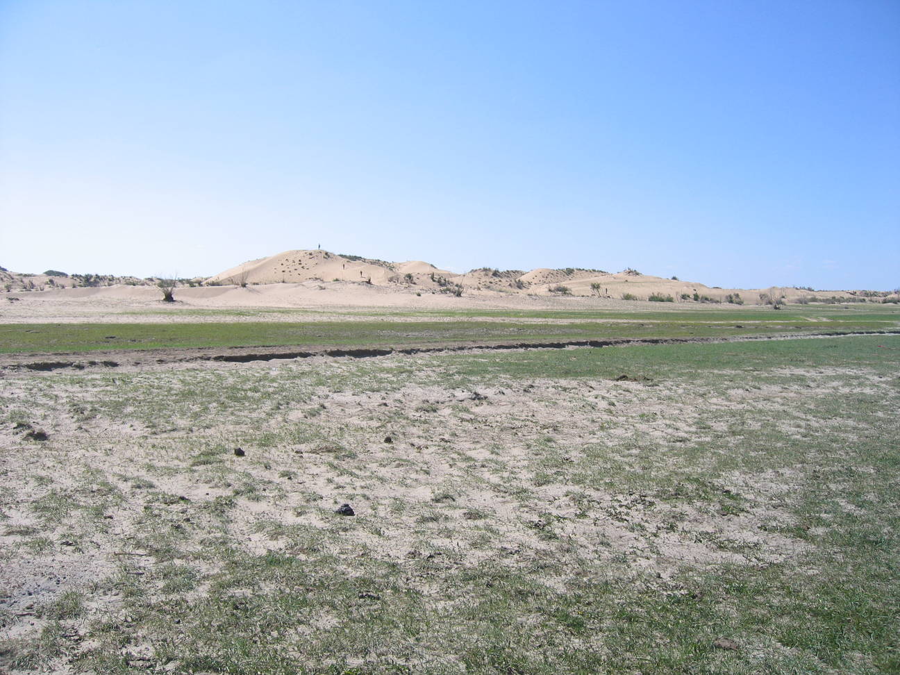 Camp Bayan Gobi  25