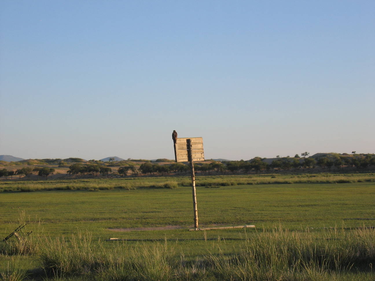 Spaziergang Sandd&uuml;ne 2