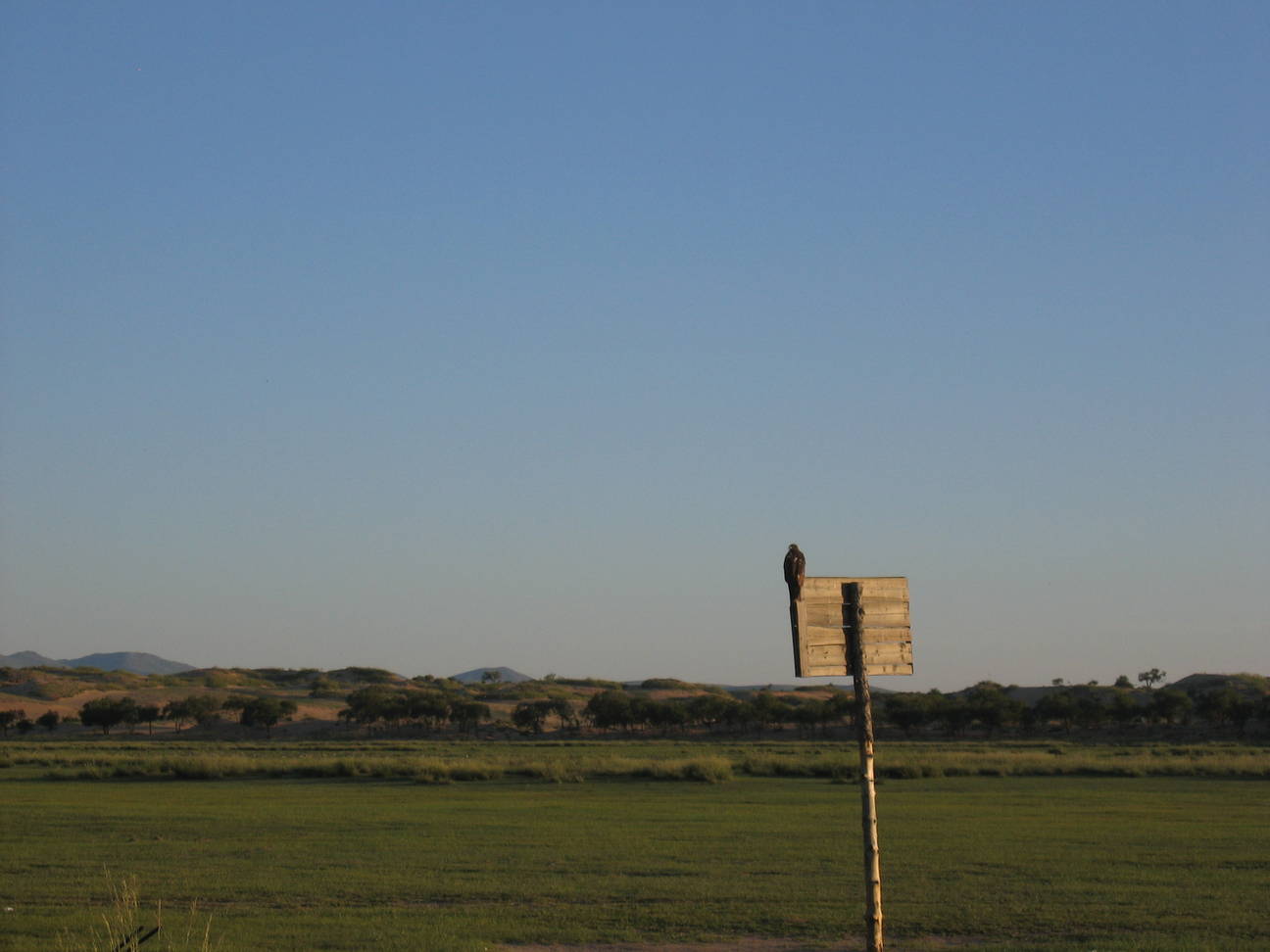 Spaziergang Sandd&uuml;ne 3