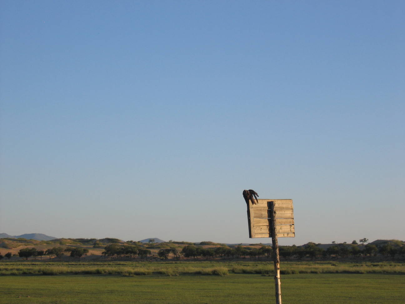 Spaziergang Sandd&uuml;ne 4