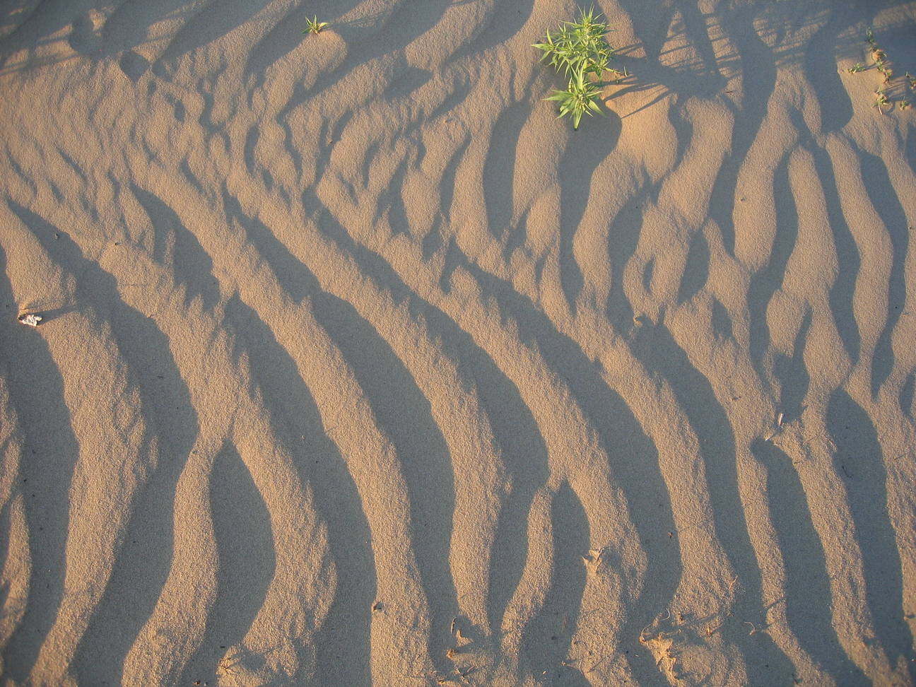 Spaziergang Sandd&uuml;ne 9