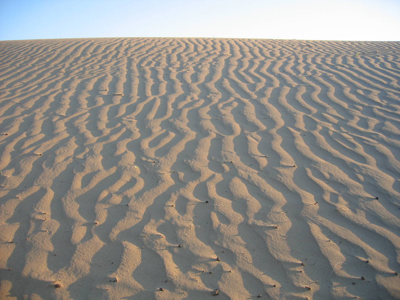 Spaziergang Sandd&uuml;ne 10