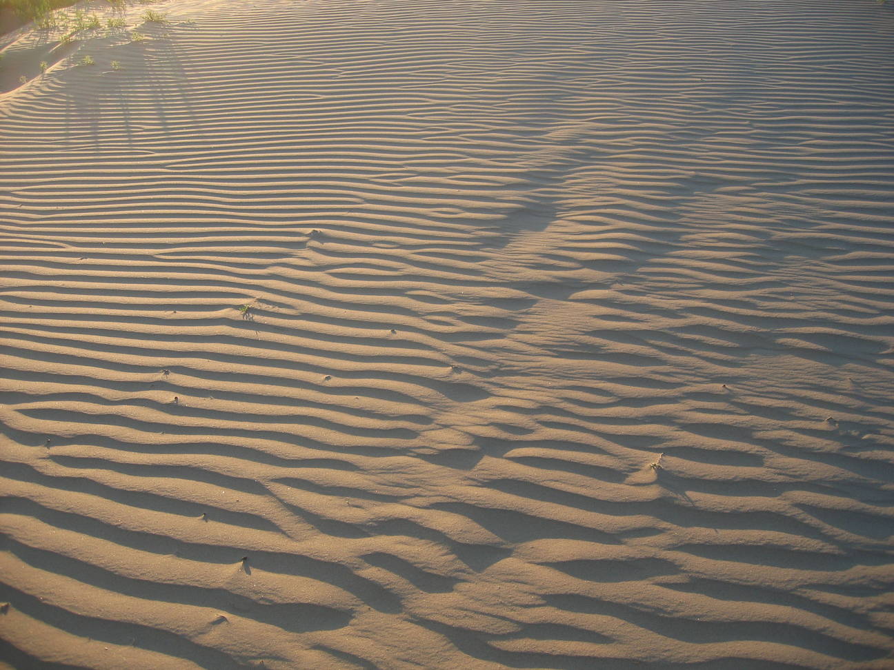 Spaziergang Sandd&uuml;ne 11