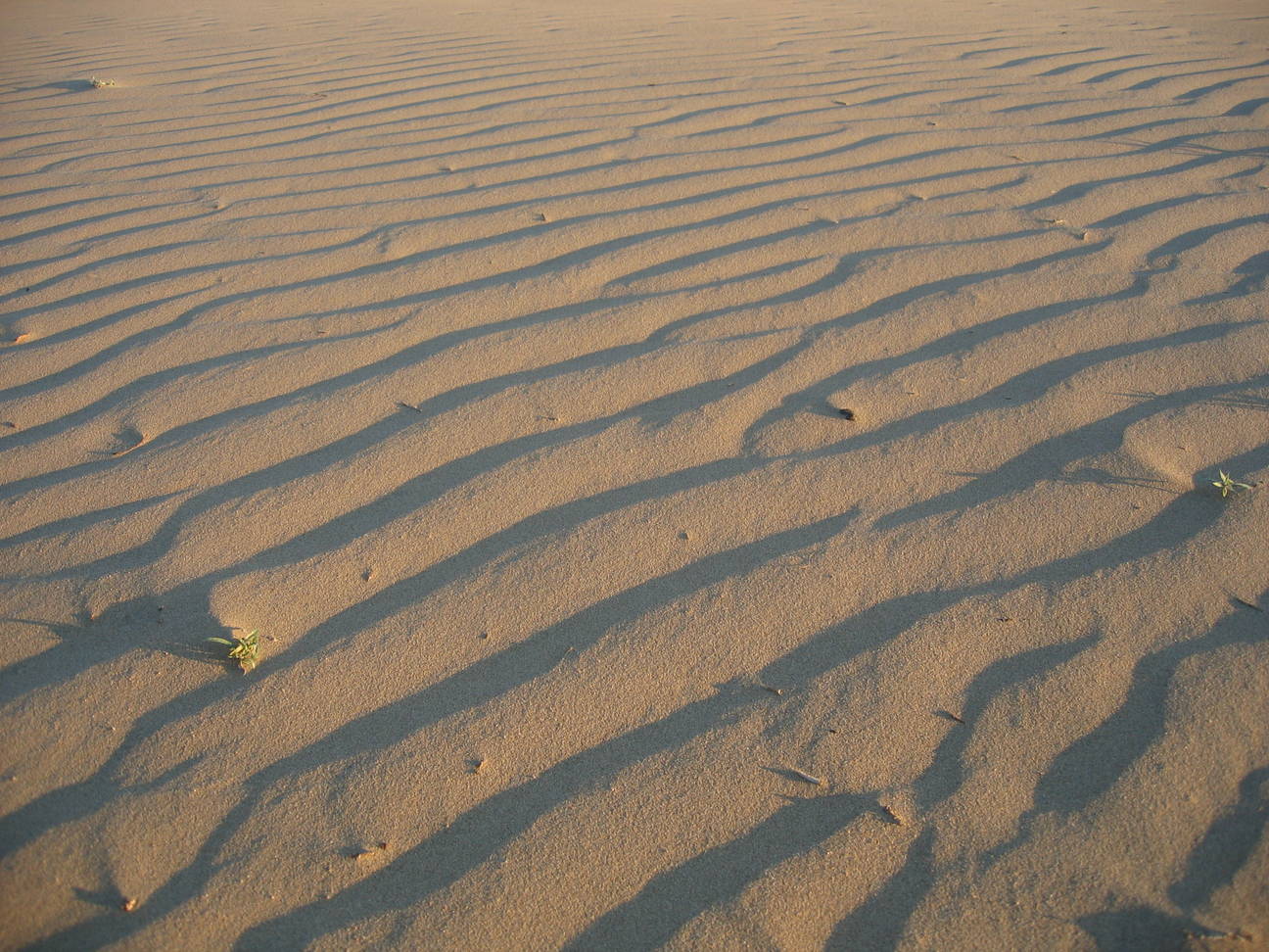 Spaziergang Sandd&uuml;ne 12