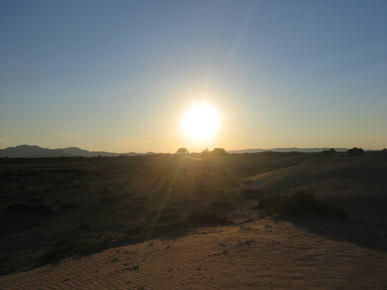 Spaziergang Sandd&uuml;ne 14