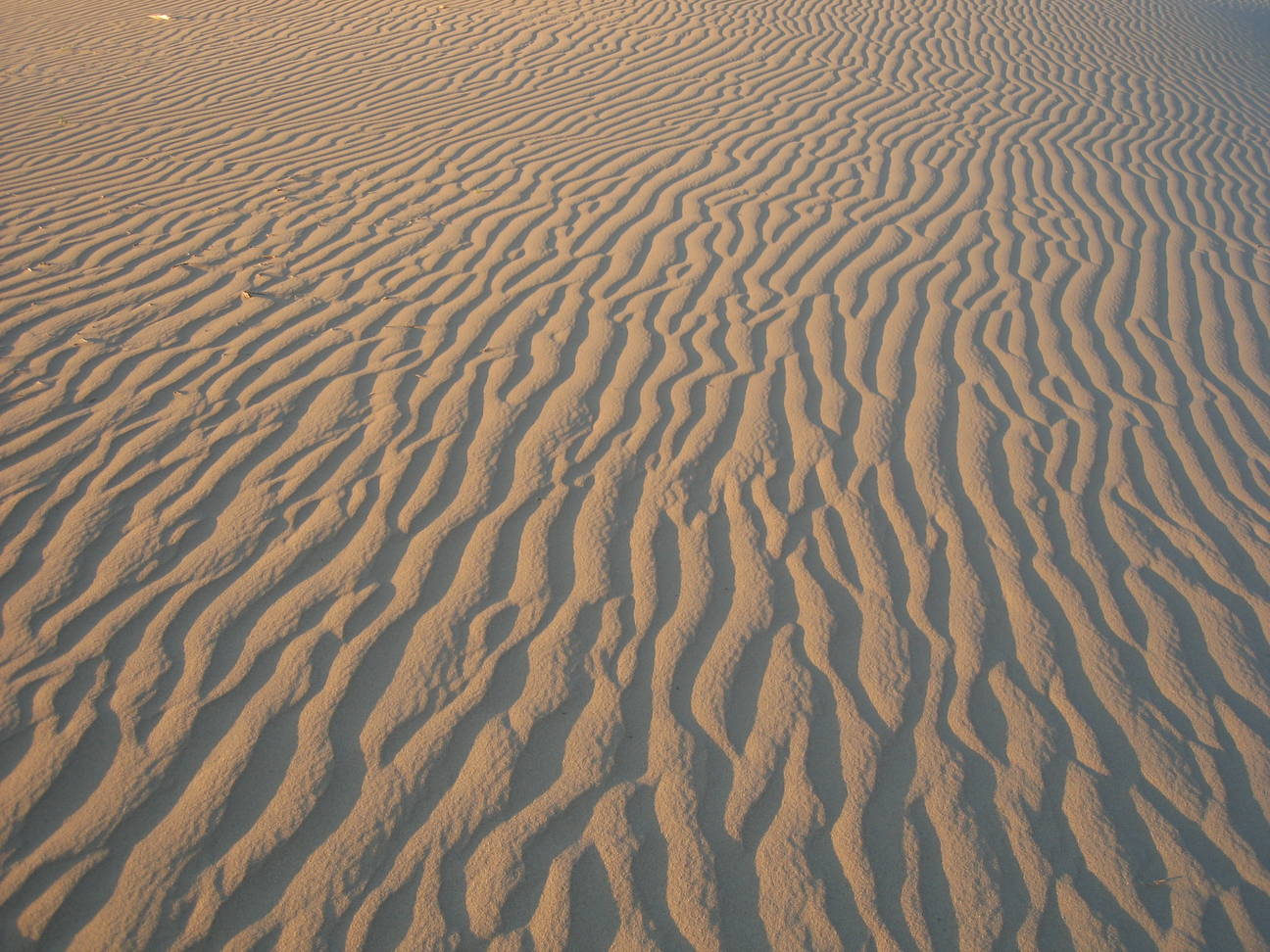 Spaziergang Sandd&uuml;ne 16