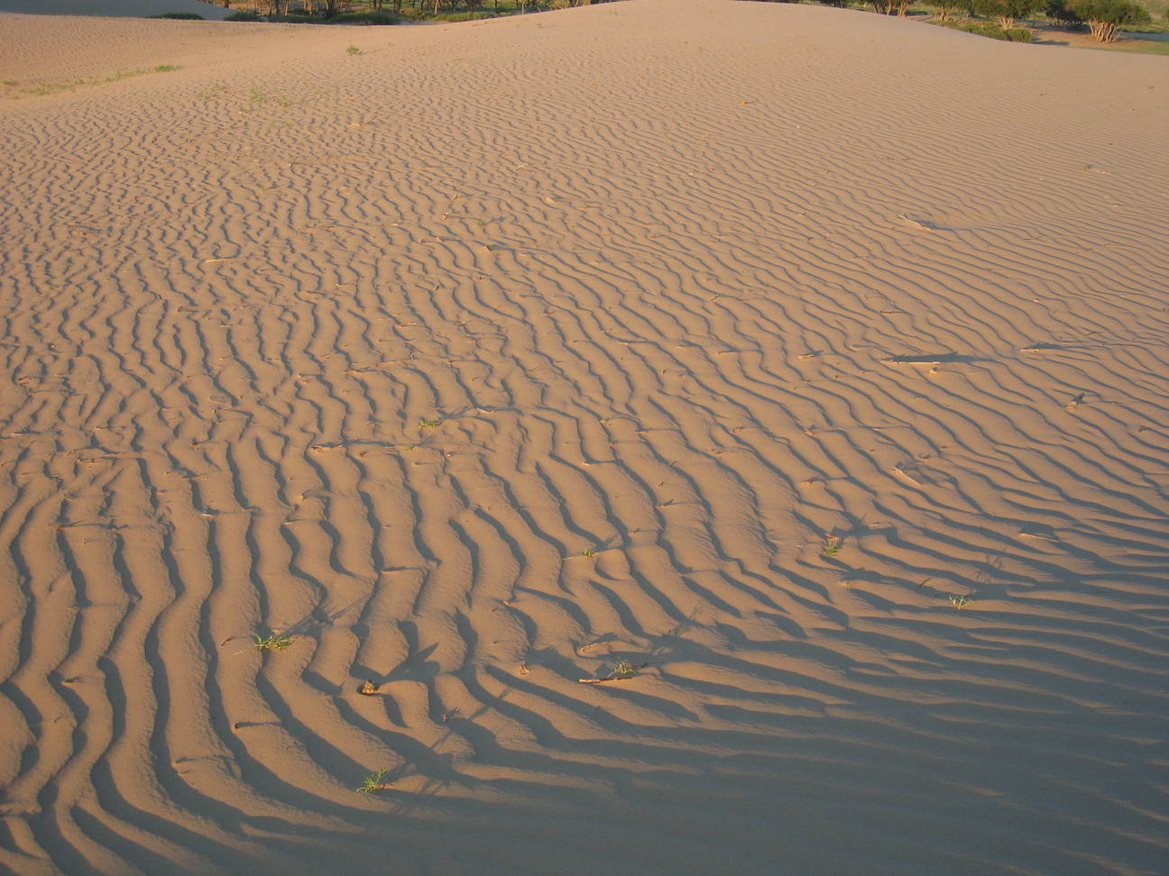 Spaziergang Sandd&uuml;ne 17