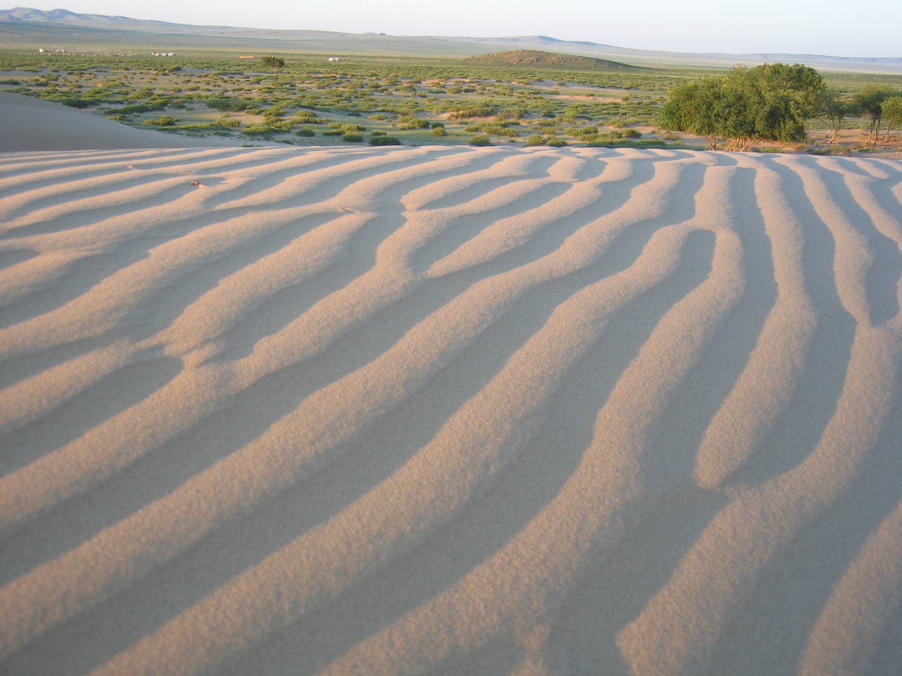 Spaziergang Sandd&uuml;ne 20