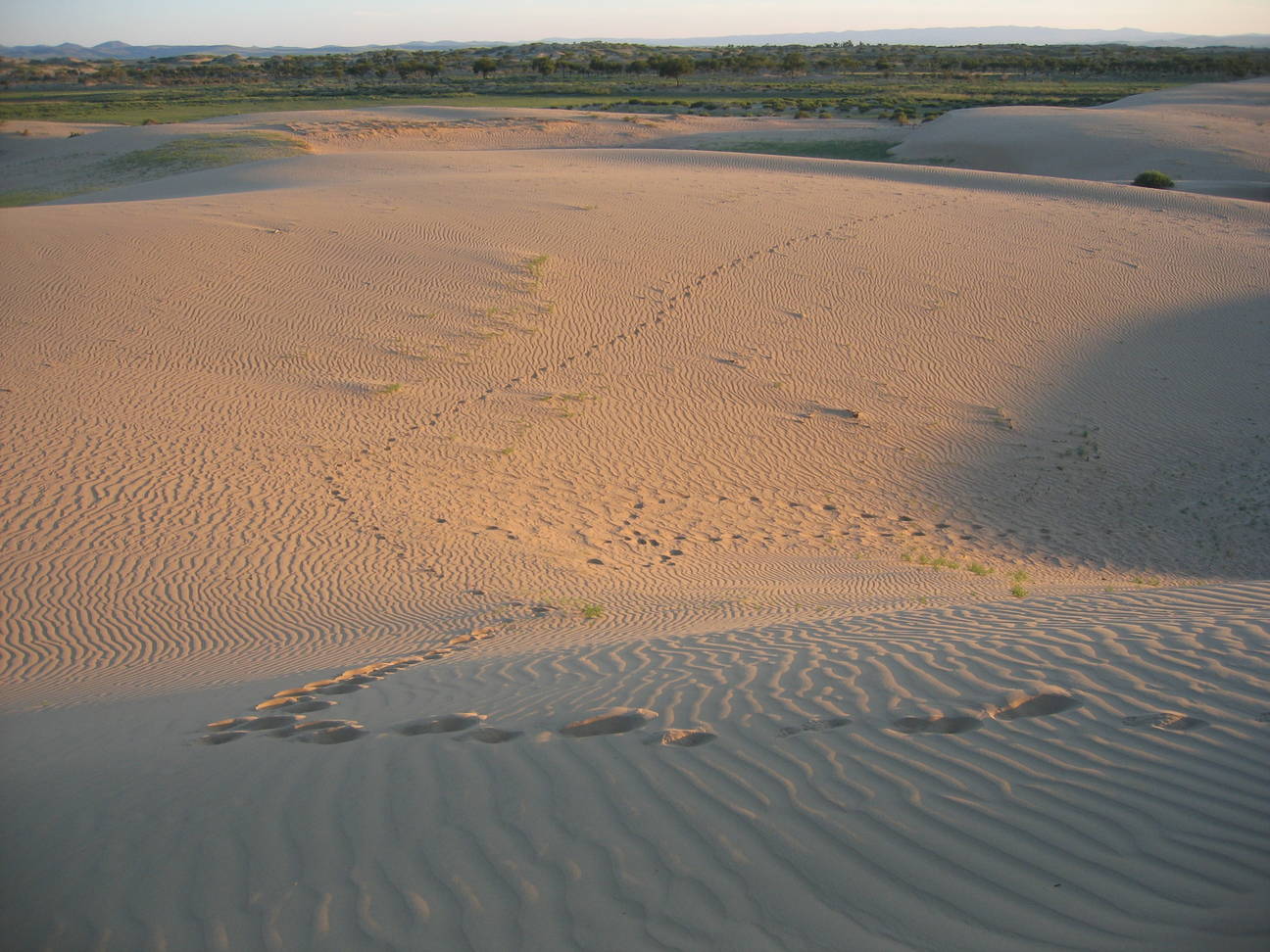 Spaziergang Sandd&uuml;ne 22