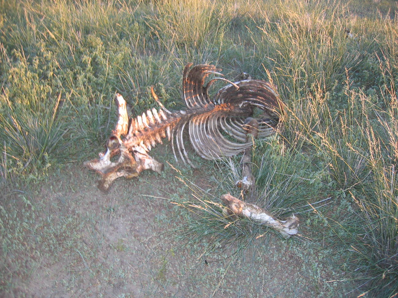 Spaziergang Sandd&uuml;ne 24