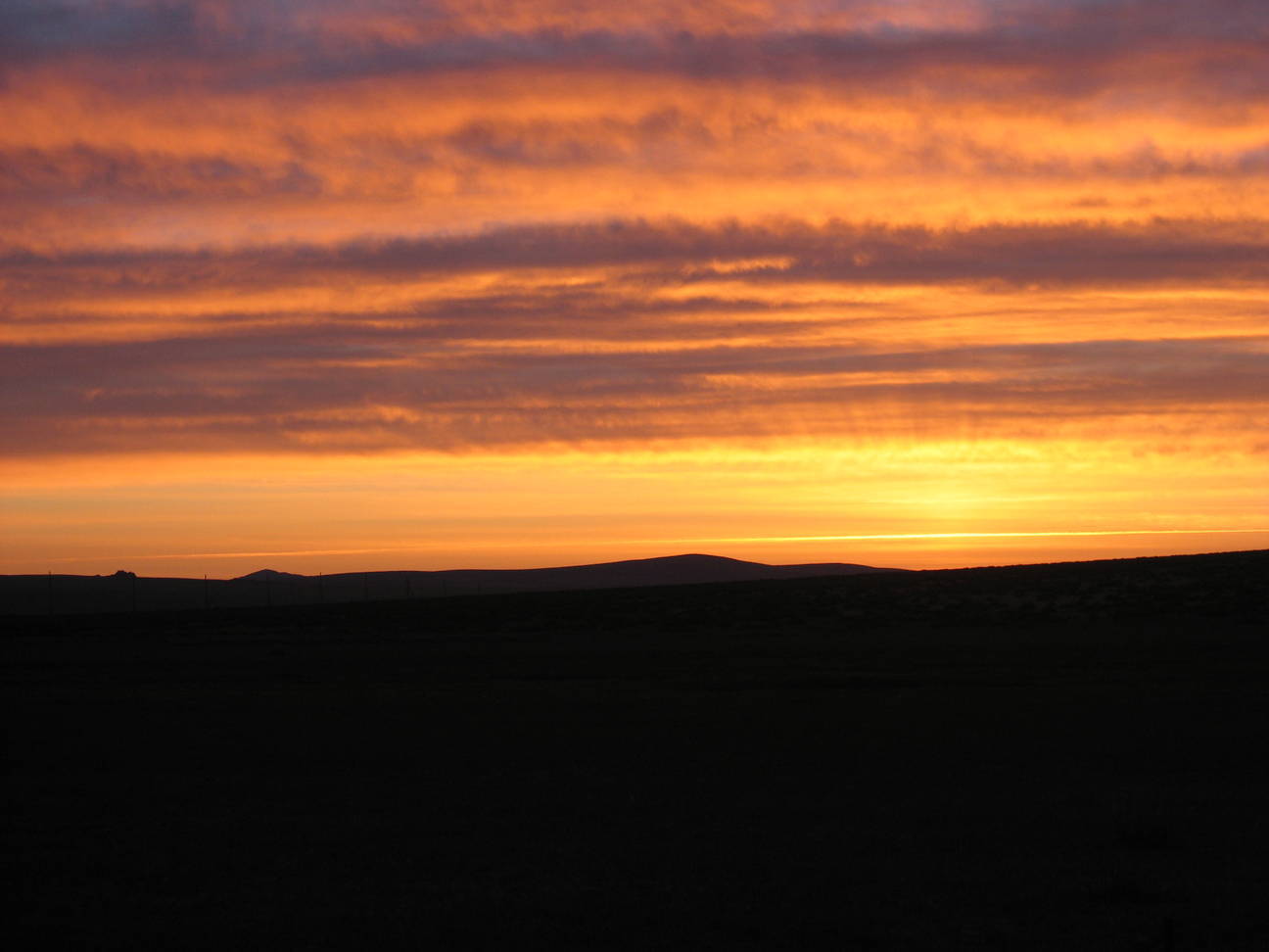 Camp Bayan Gobi  41