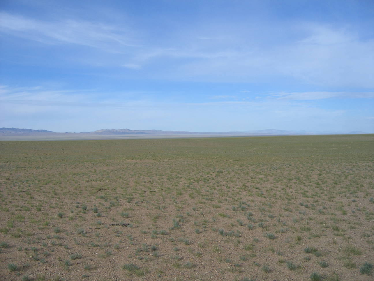 Fahrt nach Altai 6