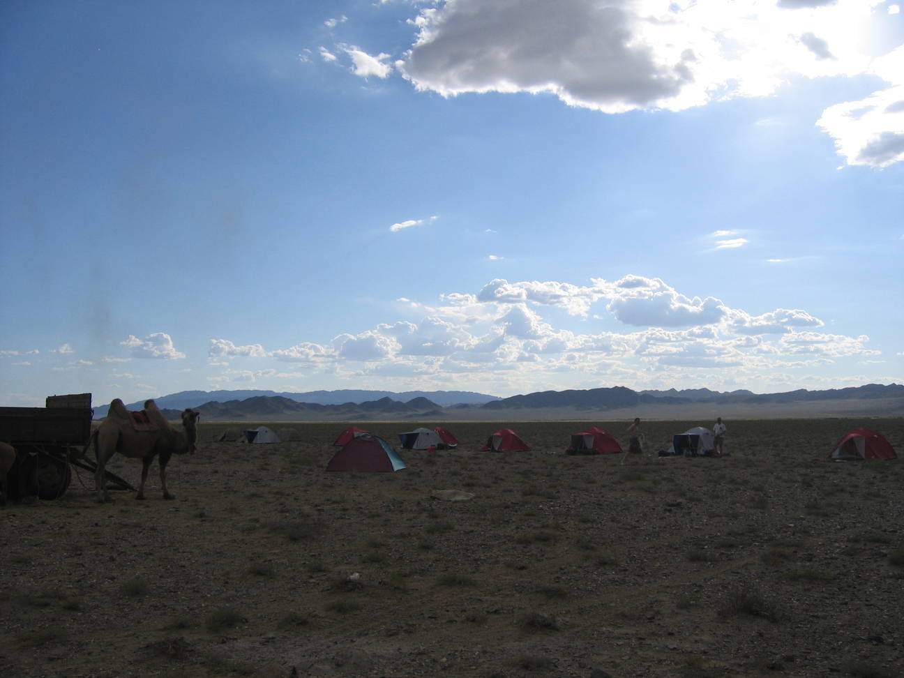 Soficamp 1