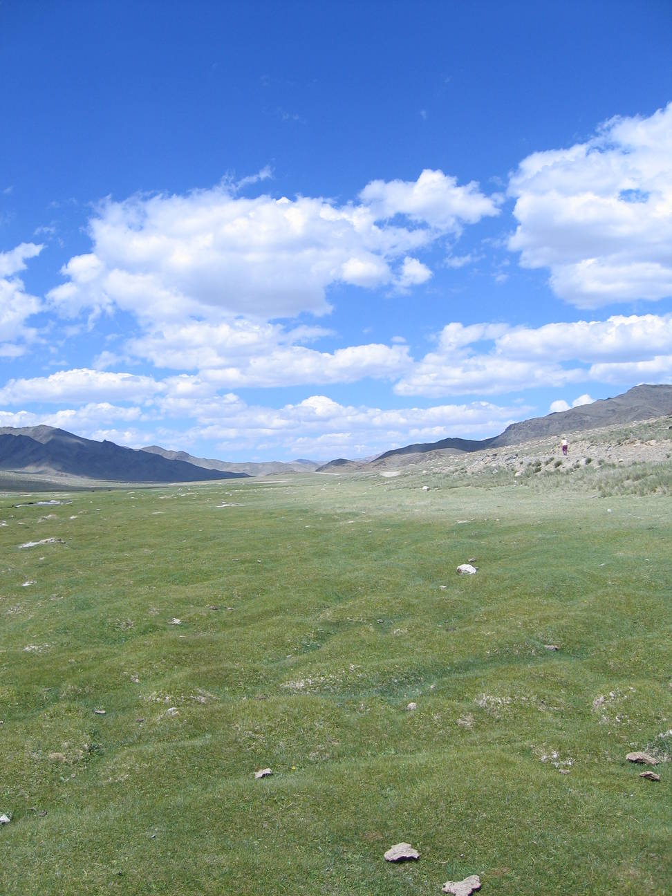 Fahrt nach Khovd 115