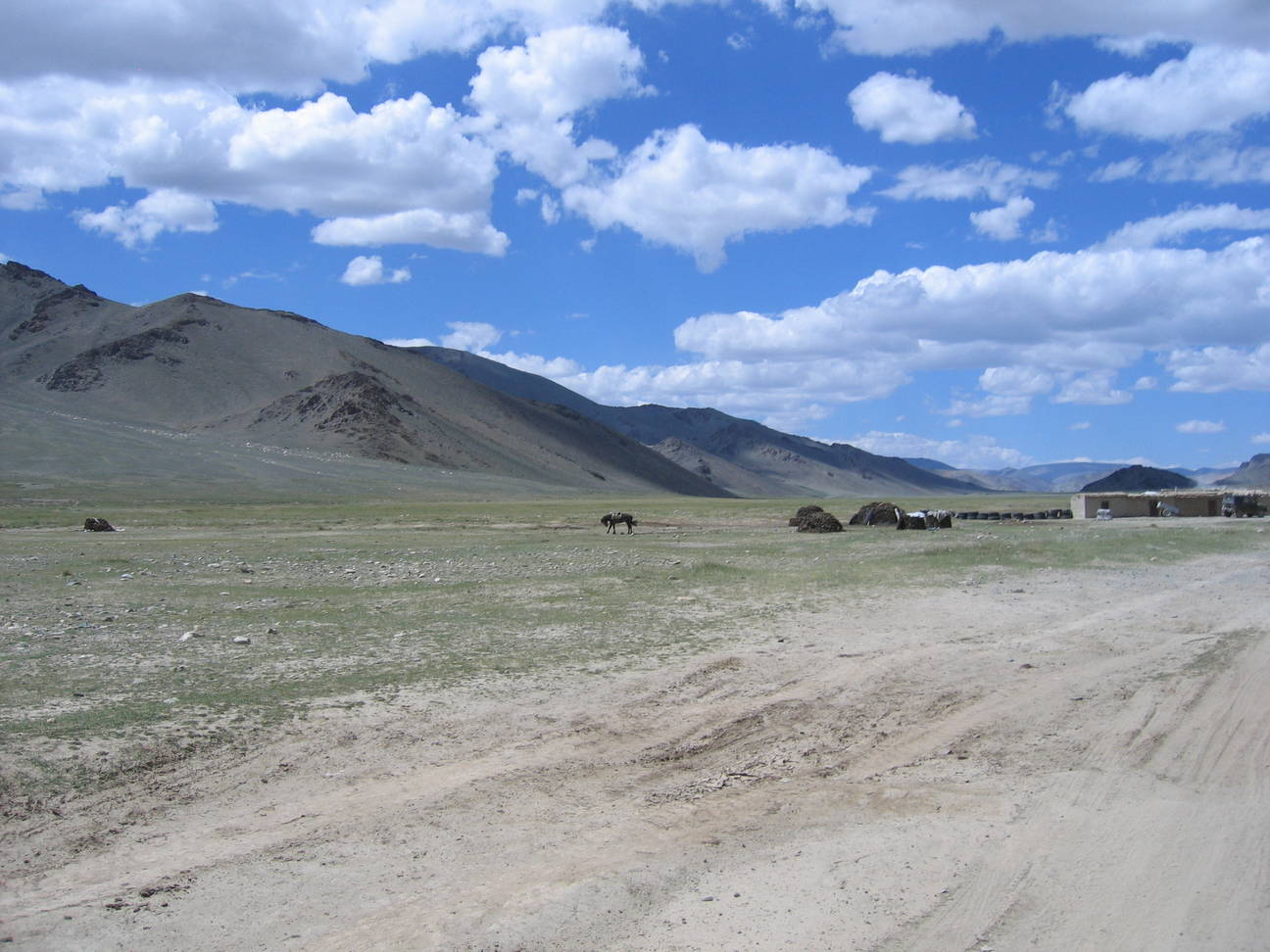 Fahrt nach Khovd 127