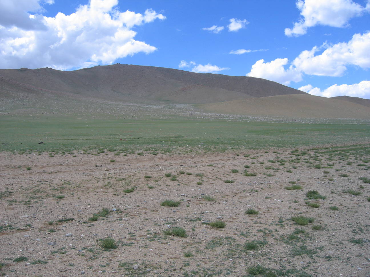 Fahrt nach Khovd 152