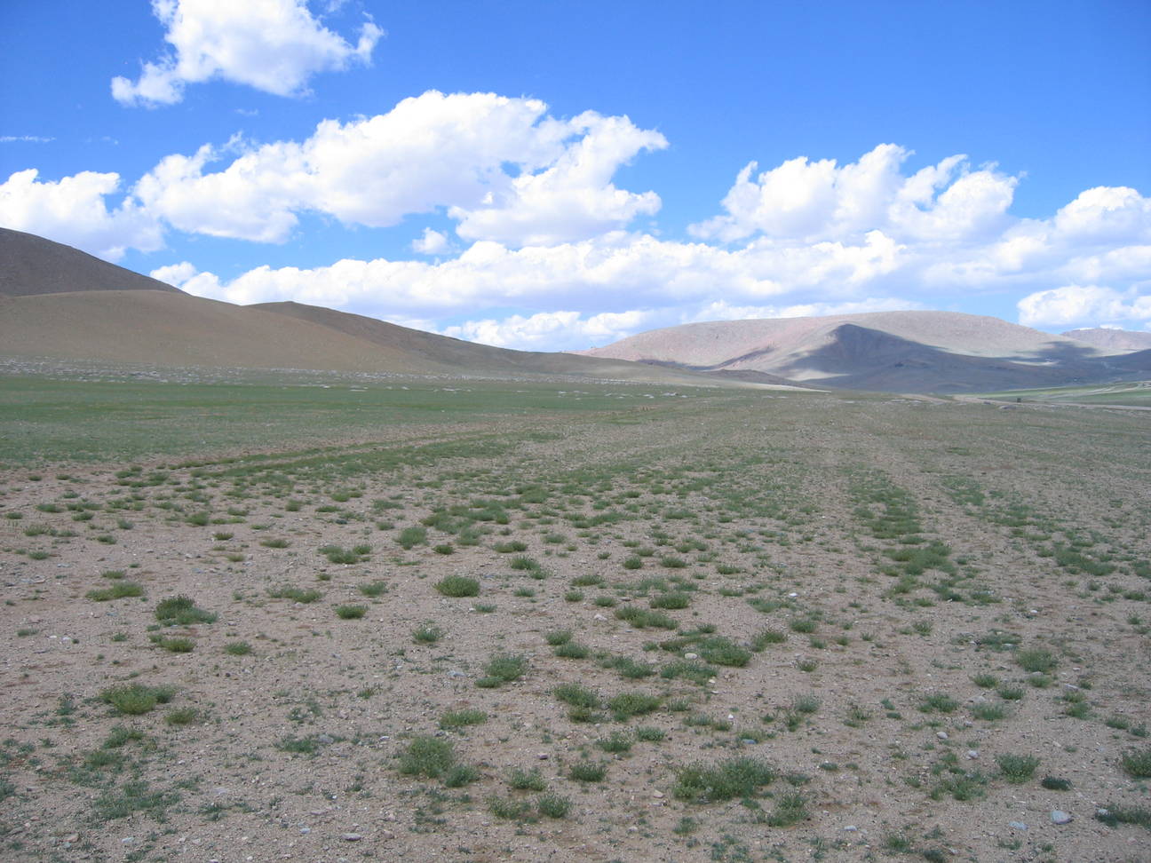 Fahrt nach Khovd 153