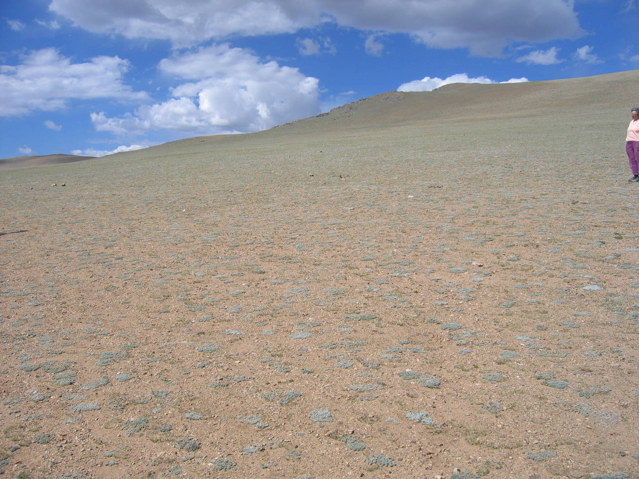 Fahrt nach Khovd 188