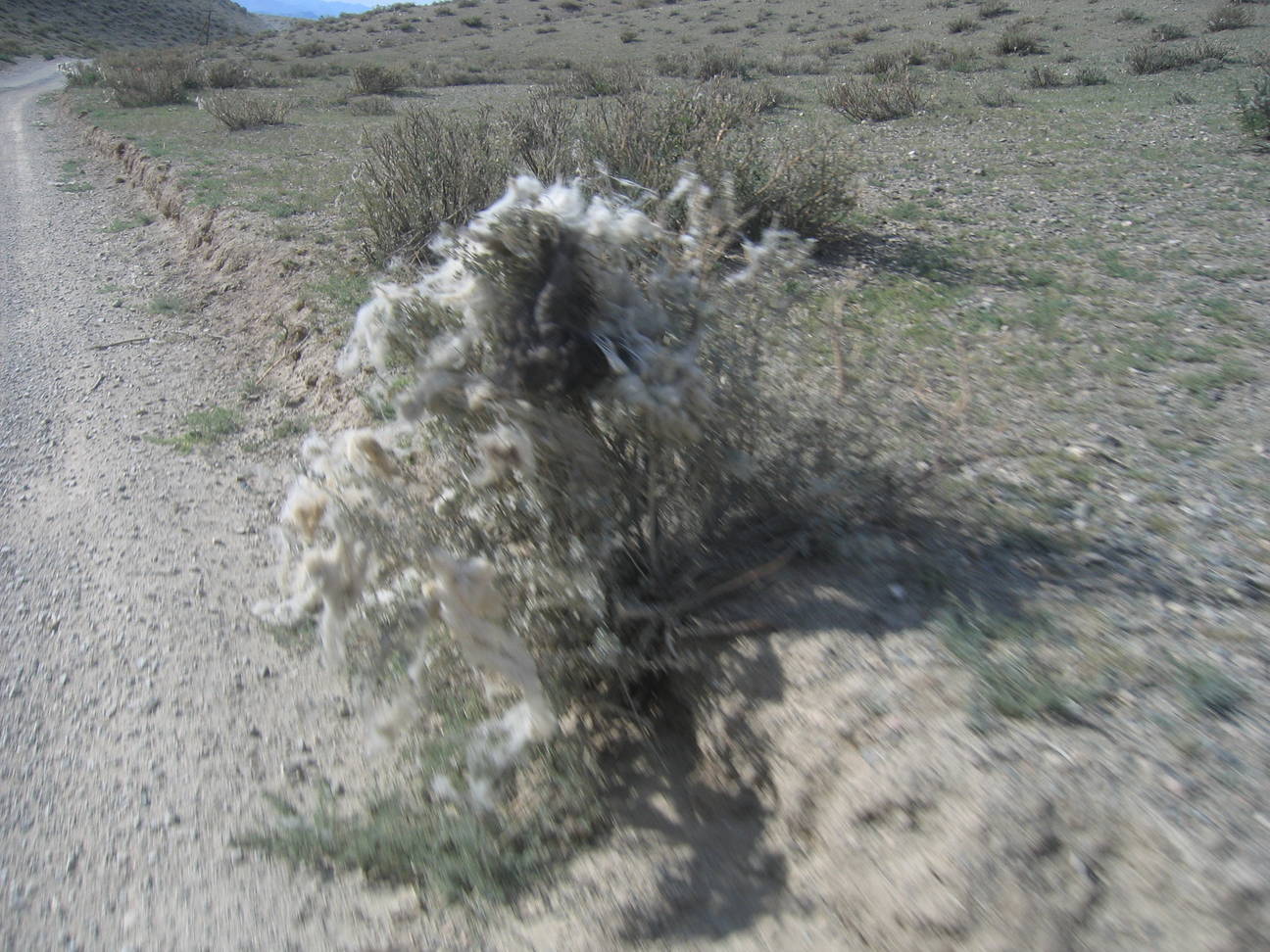 Fahrt nach Khovd 232