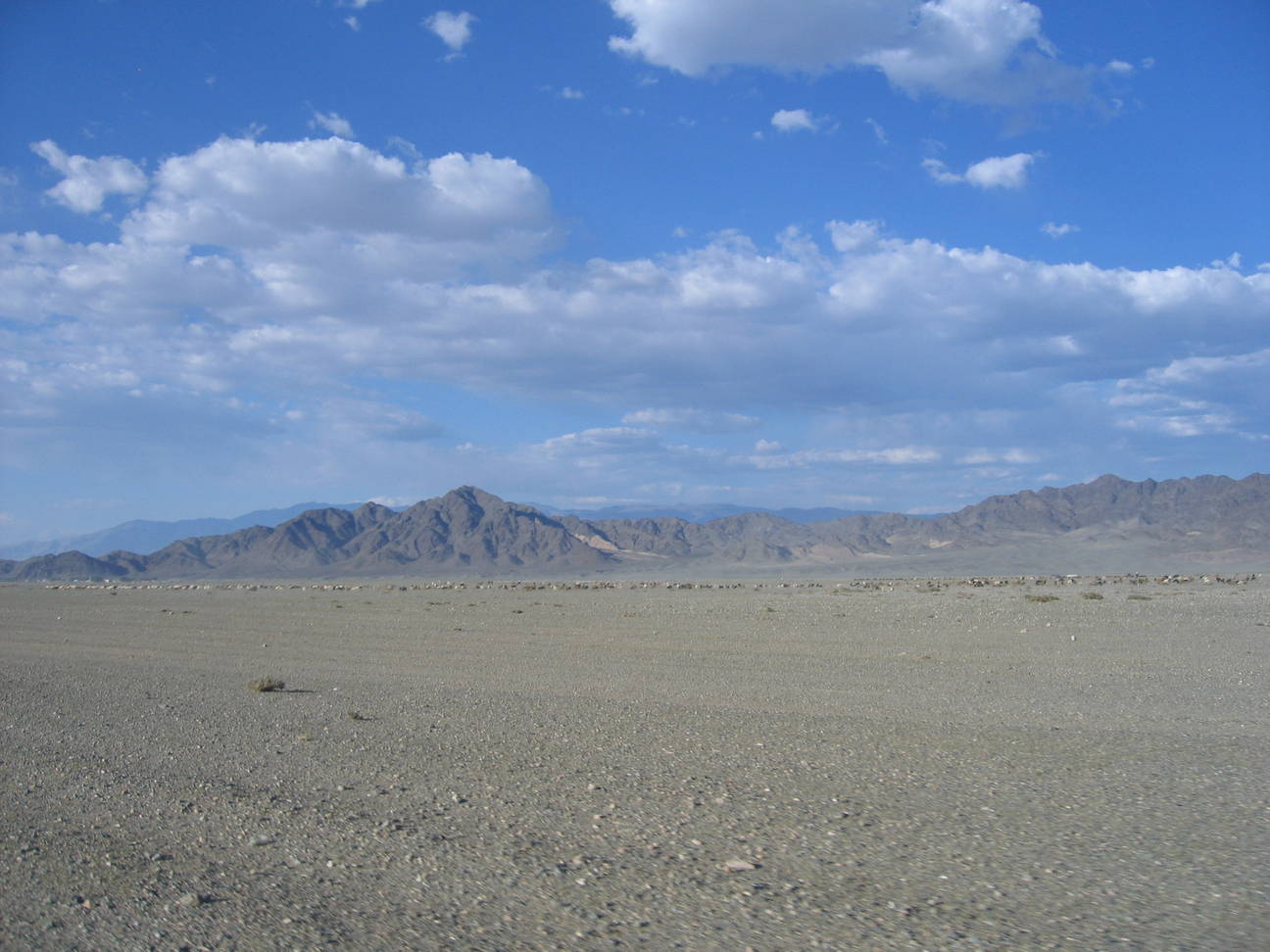 Fahrt nach Khovd 273