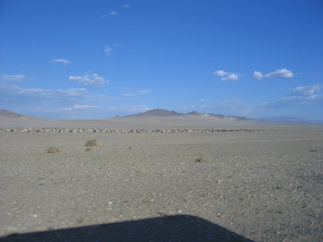 Fahrt nach Khovd 274