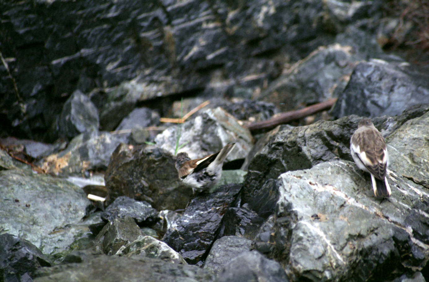 Wanderung Adlerschlucht 15