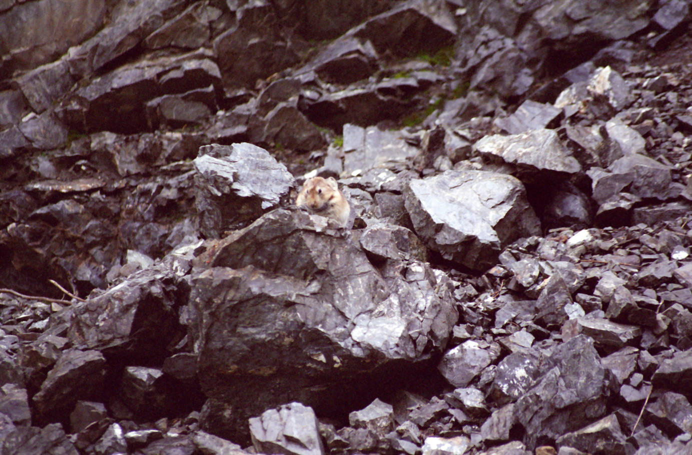 Wanderung Adlerschlucht 32