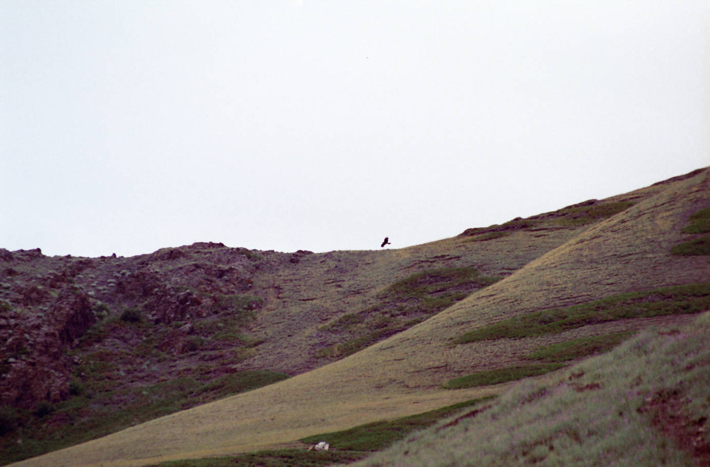 Wanderung Adlerschlucht 47