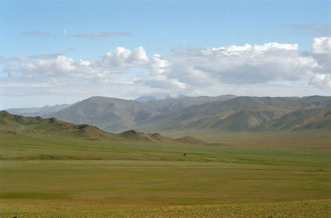 Sandd&uuml;ne Mogol els 46