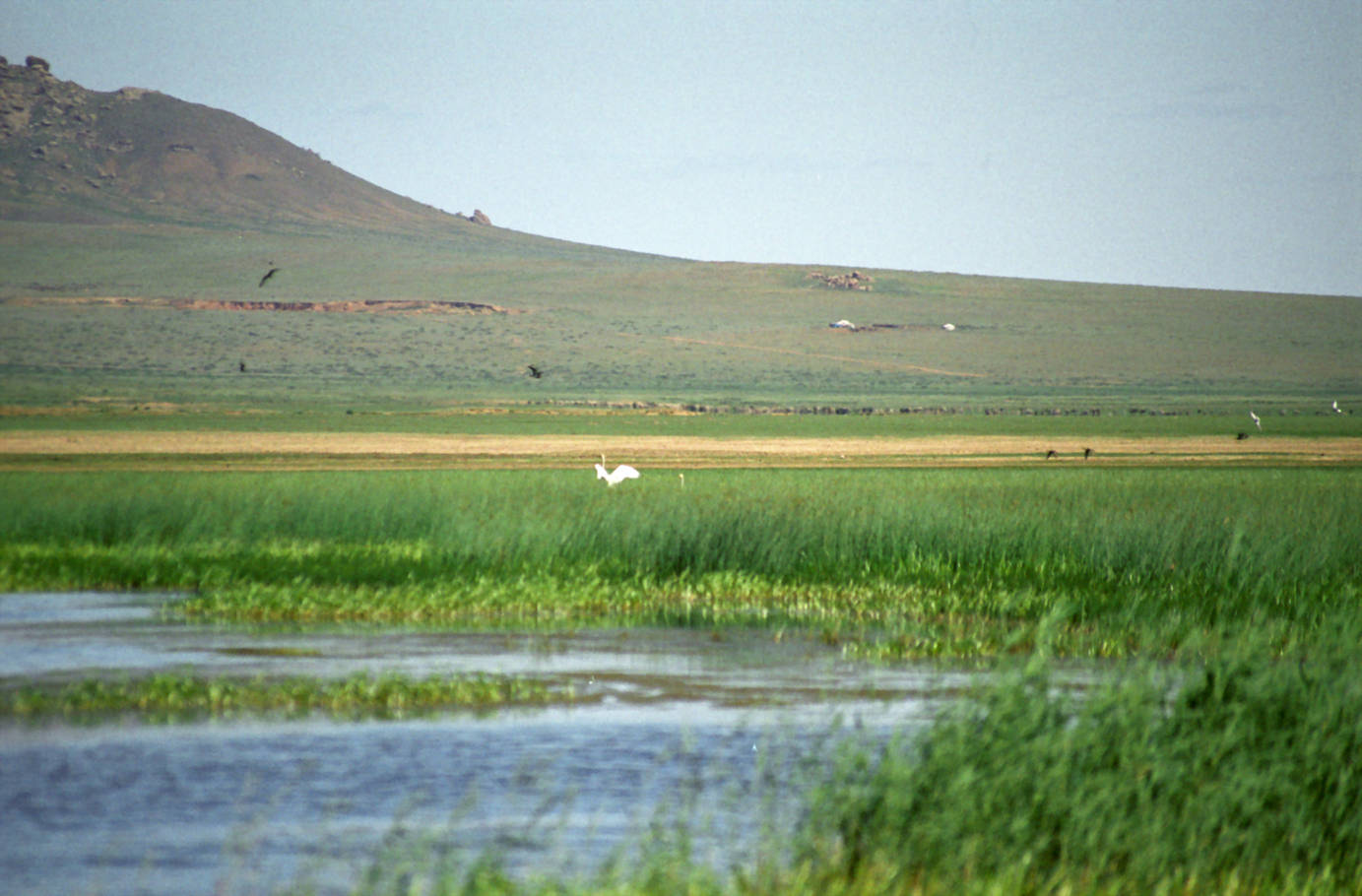 Camp Bayan Gobi  31